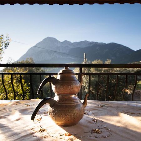 Vita Camping Otel Geyikbayiri Екстер'єр фото